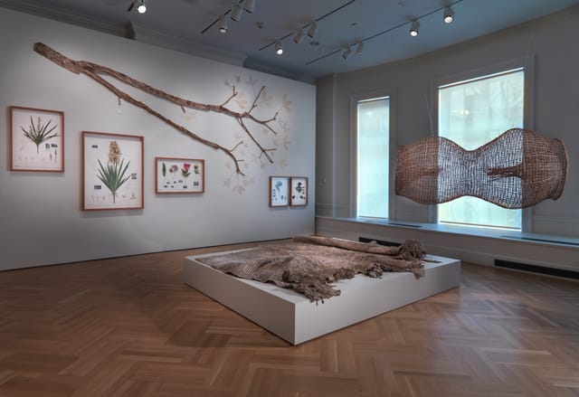 Bard-waterweavers4-14-14_0052