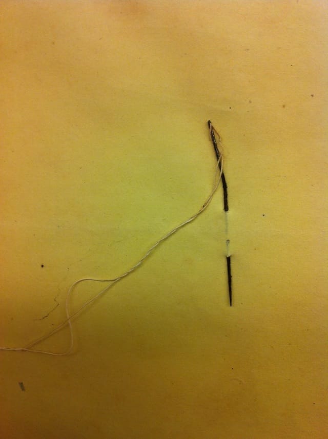 Needle in the end paper of 'Letters of Hannah More to Zachary Macaulay' (1860) (courtesy Alderman Library, University of Virginia)