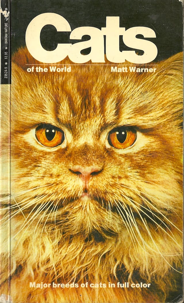 Cats of the World 6