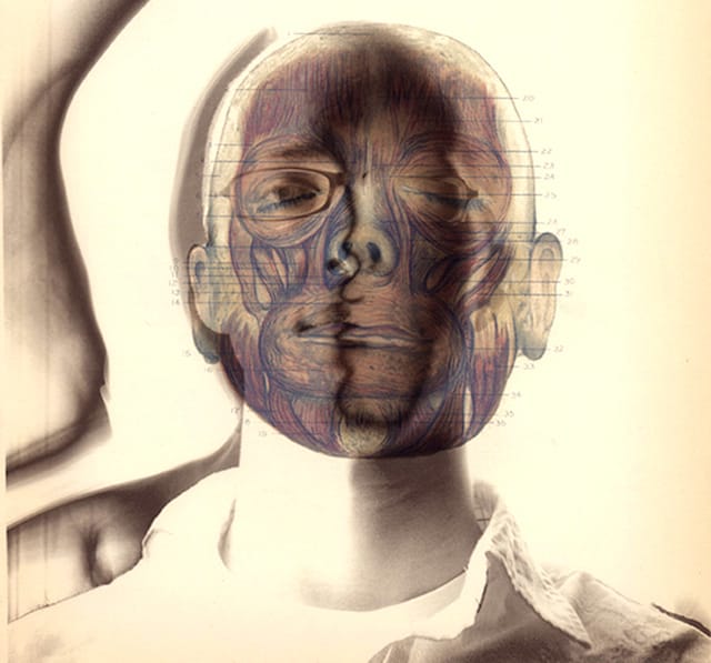 FLYNT untitled (KW detail) 2010