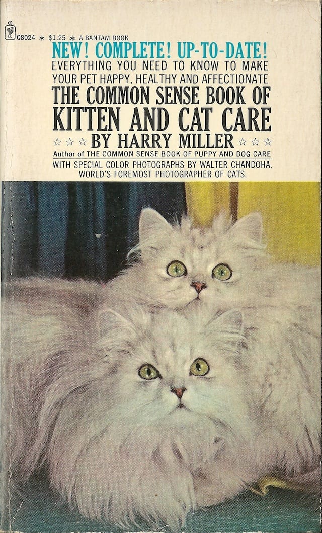 Harry Miller Kitten and Cat Care