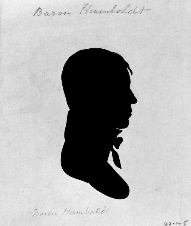 Charles Willson Peale (American, 1741–1827) Silhouette of Alexander von Humboldt, 1804 Embossed paper, 3 x 1 ¾ in. Collection of the Thomas Jefferson Foundation at Monticello
