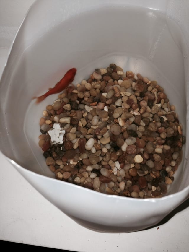 No More Games, "Thank Goodnes I'm Myself" (2014) (photo by author)