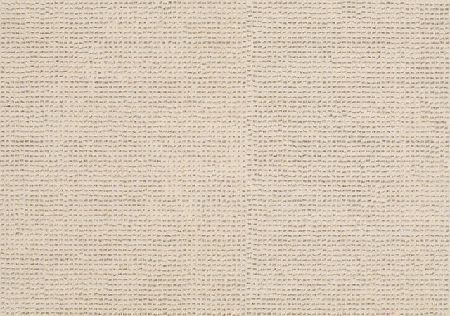 PINPP088 (2) [lo-res]