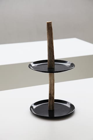 Untitled (Michael E. Smith) - Bone Plate