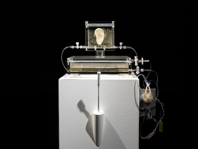 2014_sugababe_diemut-strebe_001