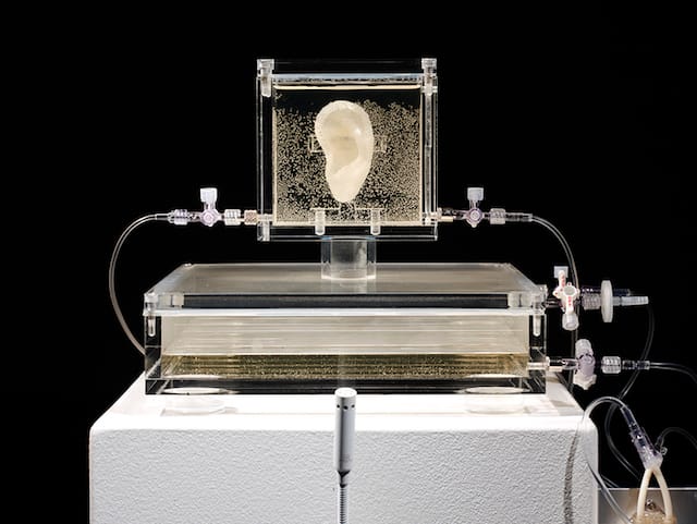 2014_sugababe_diemut-strebe_003