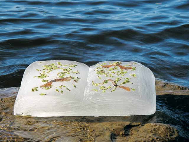 Basia Irland, Ottawa River Book III, 2012.  Image credit: Photo Clair Long. Courtesy the artist.  