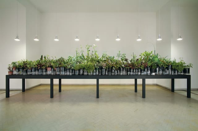 Lauren Berkowitz, Sustenance, 2010.   Image credit: Photo Ian Hobbs. Courtesy the artist. © 2010 Lauren Berkowitz. Lauren Berkowitz is represented by Utopian Slumps, Melbourne.  