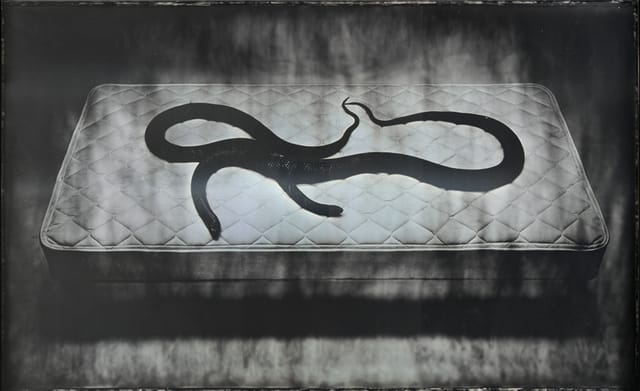 Adam Fuss, "The Space Between Garen and Eve" (2011), daguerreotype, 23 1/2 x 38 in. (courtesy Cheim & Read, New York)