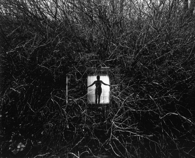 Harry Callahan, Eleanor, 1951, silver  gelatin print, Collection of the Vancouver  Art Gallery, Gift of The Larry and  Cookie Rossy Family Foundation, VAG  2013.36.308 © The Estate of Harry  Callahan, Courtesy Pace/MacGill Gallery,  New York