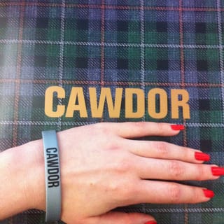 Clan of Cawdor for the evening (photograph by the author)