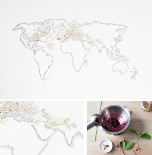 Invasive Pigments: Columbian-Eurasian Exchange (Black Cherry/Garlic Mustard), 2013 graphite and plant-derived pigments (garlic mustard leaves, black cherry fruit) on paper 12 x 16 inches (16 x 20 framed)