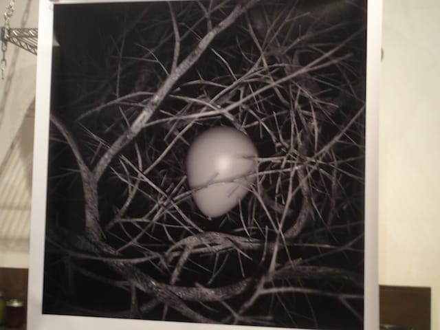 Michael Greathouse, "Untitled" (2014) (photo by author) 