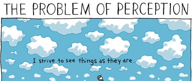 snide-perception-640