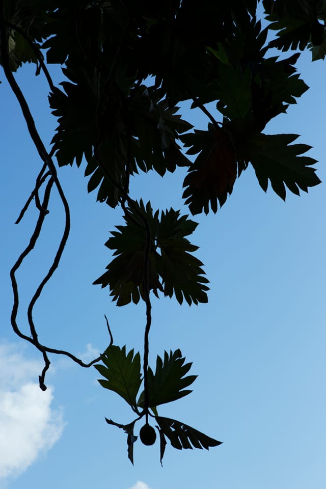Viviane Sassen, "Beibo" (2014)