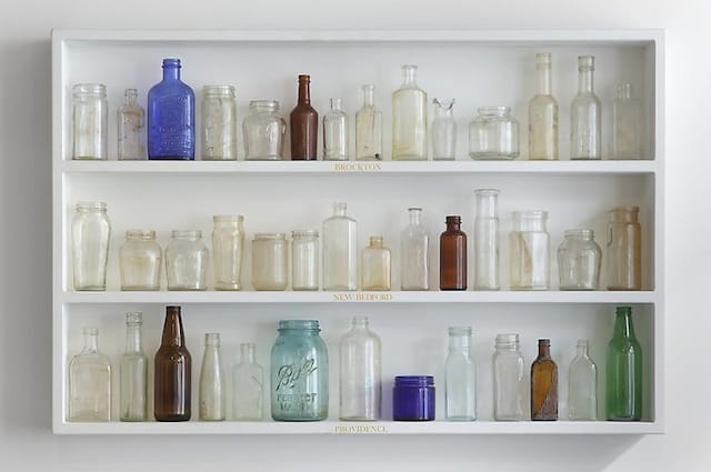 "New England Digs Shelf # 2"  by Mark Dion (2001) (courtesy of Tanya Bonakdar Gallery) 