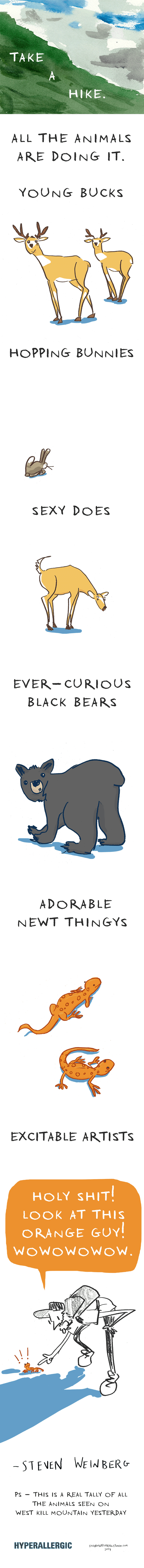 animals-weinberg-640