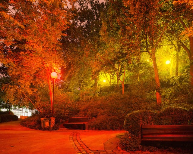 Nuit Blanche 2013. Hassan Khan - Composition for a Public Park,