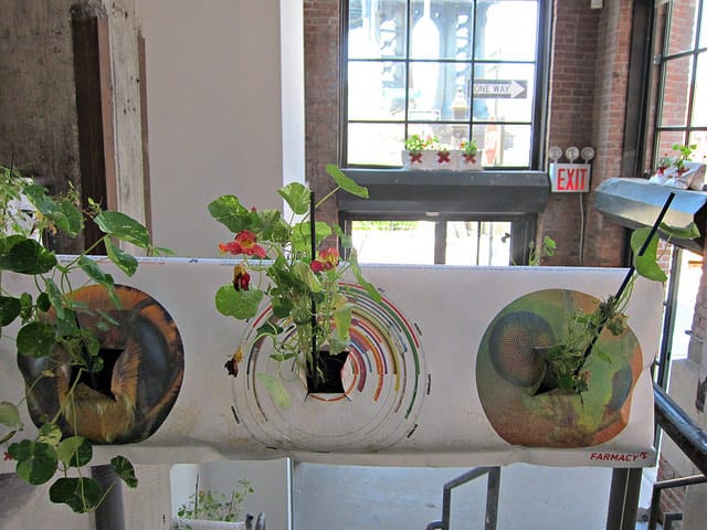 Natalie Jeremijenko, AgBags