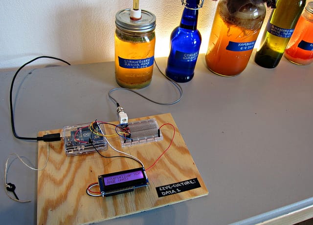 Leila Nadir & Cary Peppermint