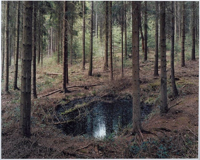 Henning Rogge  #41 (Rotterbach und Hacksiefen), 2013   Analogue C-print  18 3/16 x 22 inches