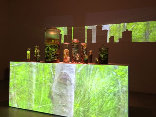 Mamuka Japharidze, "Medea’s Garden"