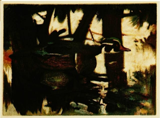 Illustration from "Concealing-Coloration in the Animal Kingdom" by Gerland H. Thayer (via Biodiversity Heritage Library)