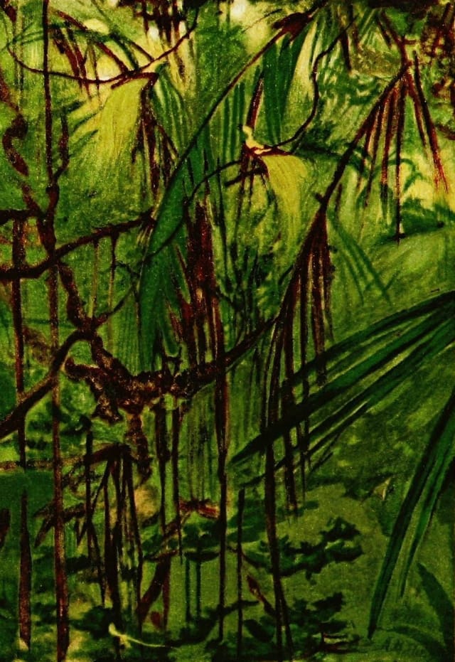 Illustration from "Concealing-Coloration in the Animal Kingdom" by Gerland H. Thayer (via Biodiversity Heritage Library)