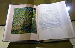 "Concealing-coloration in the animal kingdom" in the "Masters of Disguise" exhibition on the Intrepid (photograph by the author for Hyperallergic)