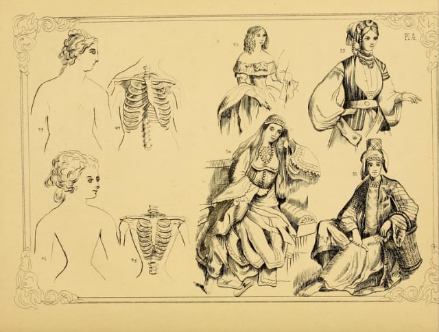 Illustration from "Dress as a Fine Art" by Mrs. Merrifield (1854) (all images courtesy New York Public Library,  Art and Architecture Collection)