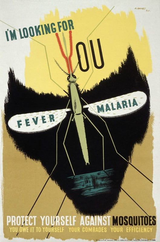 Credit: Wellcome Library, London. Wellcome Images L0023767 The malaria mosquito forming the eye-sock