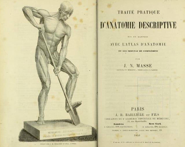 Front page of "Traité pratique d'anatomie descriptive" by J. N. Masse (1858) (via Wellcome Library)