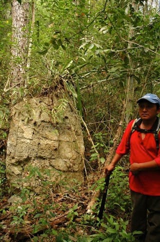 A researcher stands beside a stela on site in Lagunita 