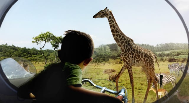 140729-zootopia-webshow-28-323_original