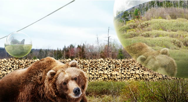 140729-zootopia-webshow-28-324_original