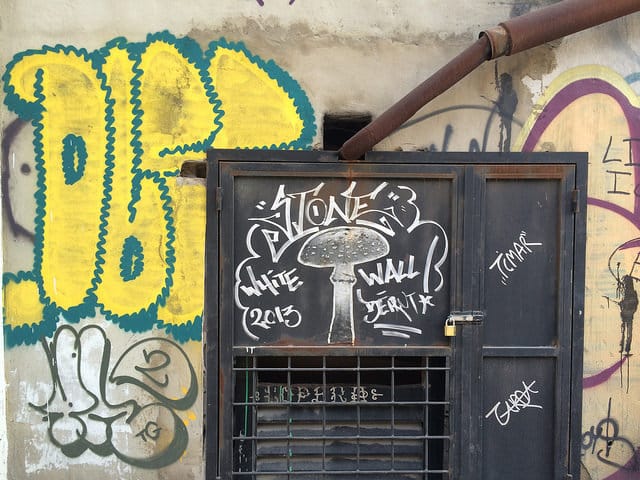 14607429523_0a3510dcd4_z