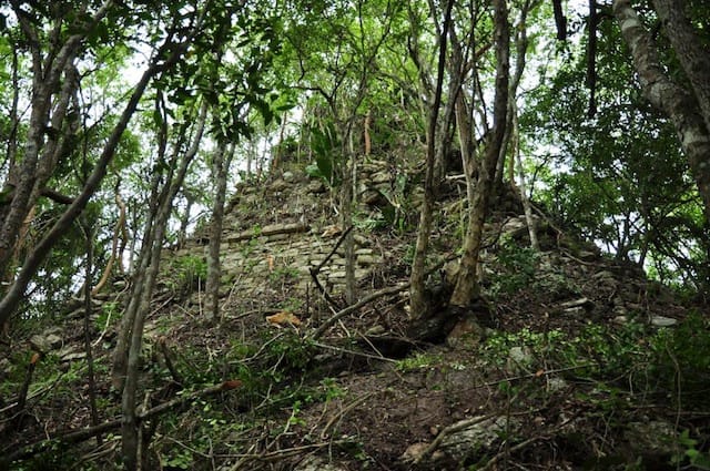 A large structure hidden in the trees in Lagunita 