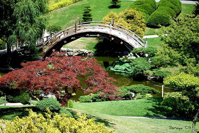 A view of the Japanese Garden at the Huntington (via flickr.com/sorayas)