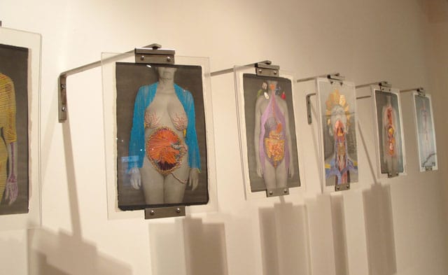 Pinky/MM Bass, "Contemplating My Internal Organs" (1999–2006), embroidery on gelatin silver print with platinum hanging hardware and plexiglass, 6 individual pieces each measuring 8 x 11 in