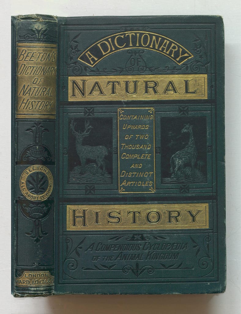 Samuel Orchart Beeton, "Beeton's Dictionary of Natural History" (1884) (via Thomas Fisher Rare Book Library)