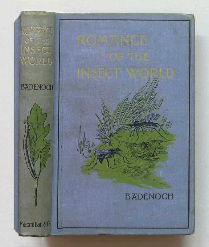 L. N. Badenoch, " Romance of the Insect World" (1893), bound in blue linen blocked in black with a painted motif (via Thomas Risher Rare Book Library)