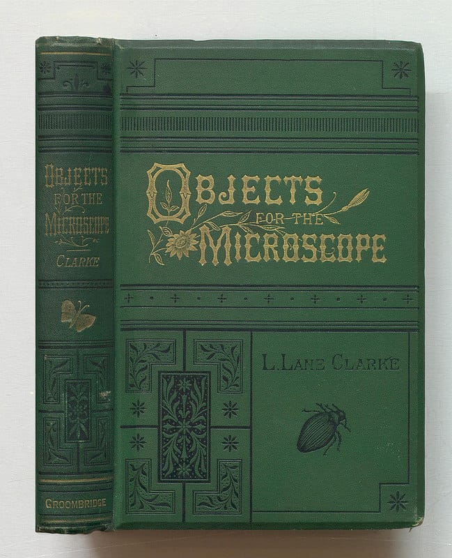 Louisa Lane Clarke, "Objects for the microscope; a popular description of the most instructive and beautiful subjects for exhibition or examination" (1889) (via Thomas Fisher Rare Book Library)
