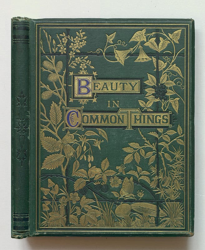 A. C. Chambers, "Beauty in Common Things" (1874) (via Thomas Fisher Rare Book Library)