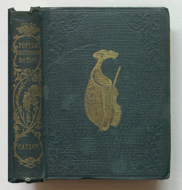 Agnes Catlow, "Popular Greenhouse Botany" (1857) (via Thomas Fisher Rare Book Library)