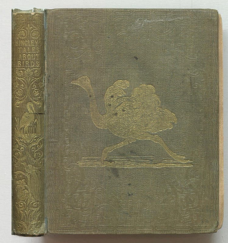 Thomas Bingley, "Tales About Birds, Illustrative of their Nature, Habits, and Instincts" (nd) (via Thomas Fisher Rare Book Library)