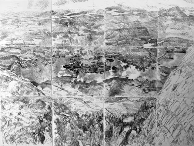 JOE WILSON From Ben Lettery. monoprint  12 panels 180 x 225 cm