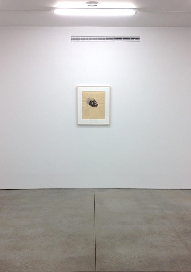 Malcolm X (1968), installation view