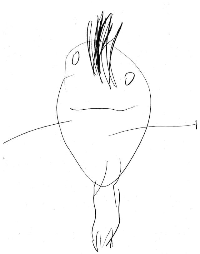 “Twins Early Development Study, King’s College London”