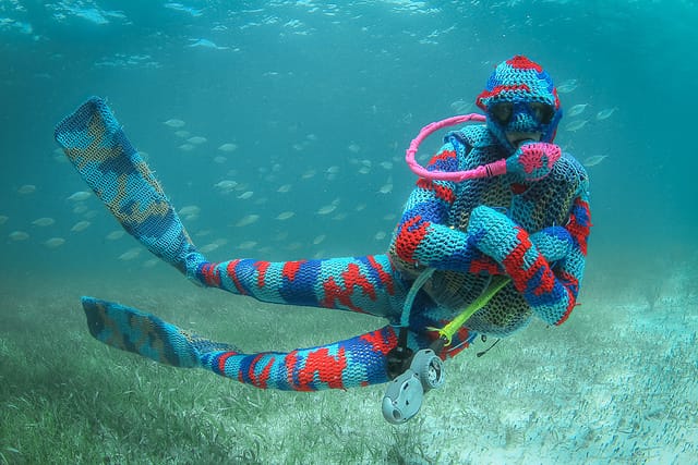 A scuba diver